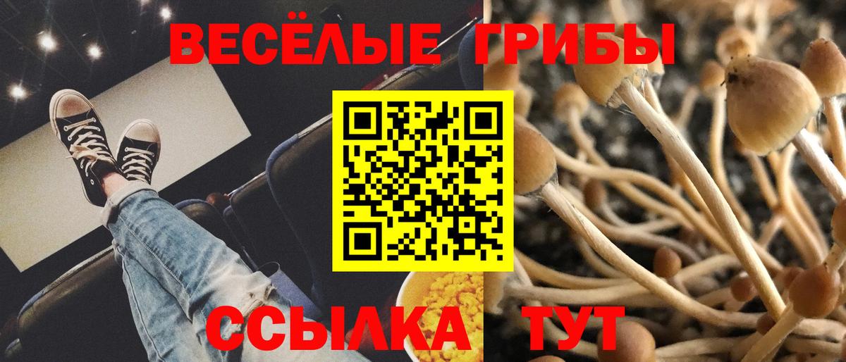 Псилоцибиновые грибы прущие грибы Калач-на-Дону